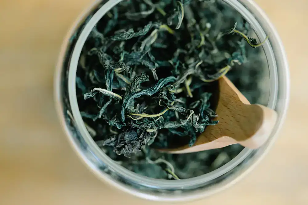 Close up view of high-quality dried specialty tea leaves