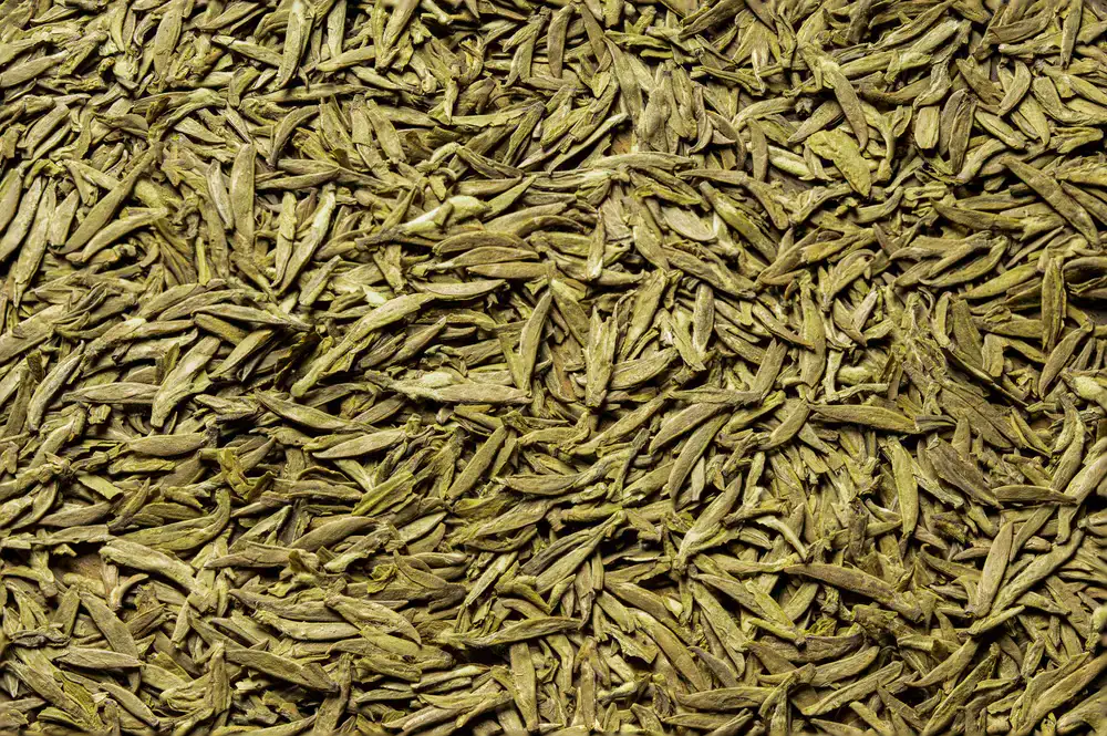 Silver needle white tea drying naturally